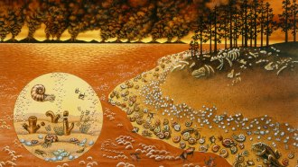 This illustration shows a time period about 252 million years ago when volcanic eruptions sparked a volatile period of extreme temperaturs and weather that ended up killing most of Earth's species. Here, volcanoes erupt in the background, while trees appear dead and skeletons of land and ocean animals litter the ground. Everything has an orange tinge.